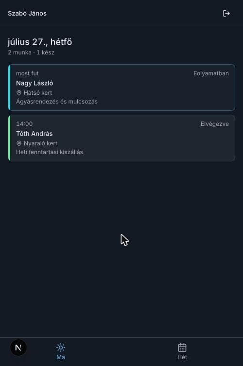 A mai nap, semmi más